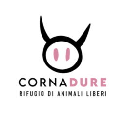 CORNADURE